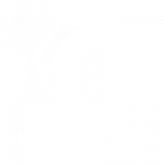 malechimp
